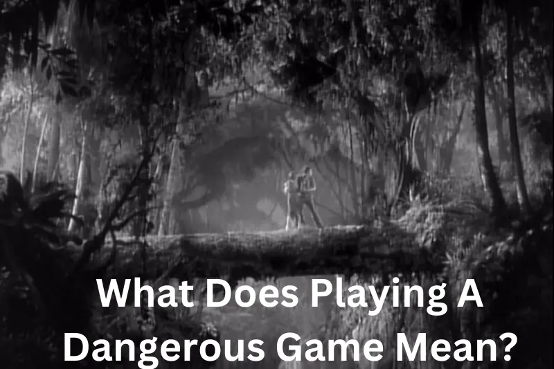 what does playing a dangerous game mean